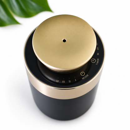 Black / Gold