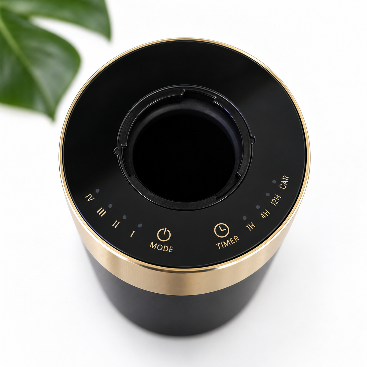 Black / Gold